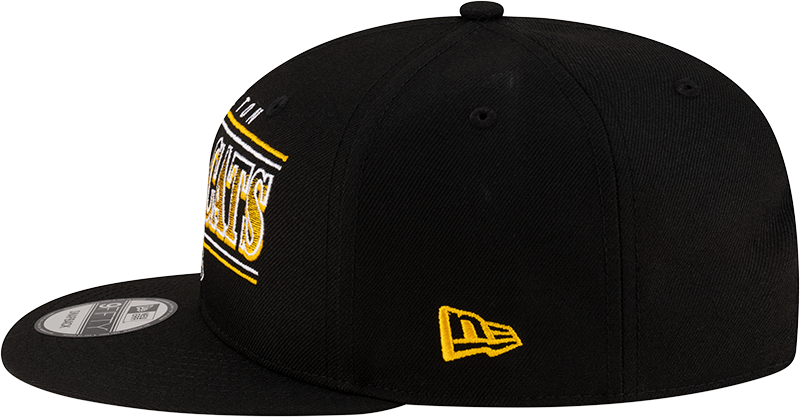 2025 Sideline 950 Snapback