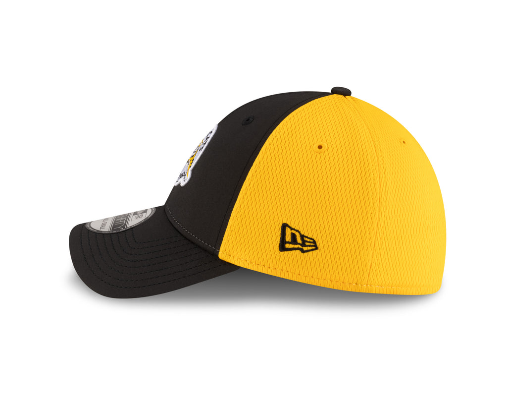 2025 Sideline 3930 Flex Fit