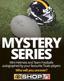 LIMITED EDITION: Mystery Series Mini Helmet