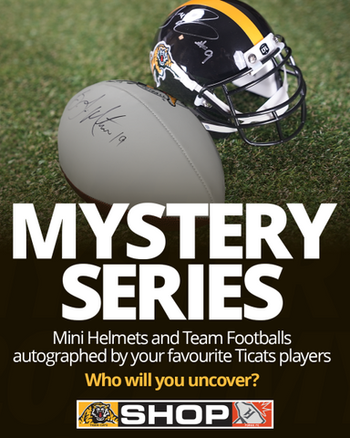 LIMITED EDITION: Mystery Series Mini Helmet