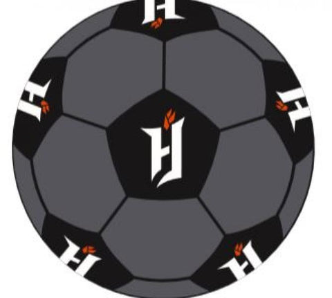 Forge FC 4" Plush Soccer Ball Grey/Black