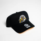 Team Hitch Hat
