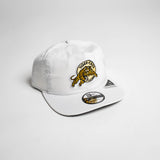Vintage Team 1920 Hat