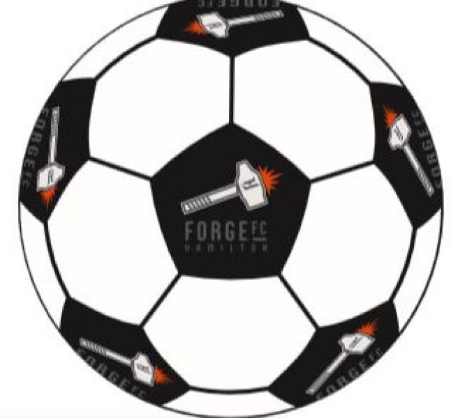 Forge FC 4" Plush Soccer Ball White/Black